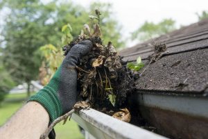 Person wearing a green glove cleaning debris from a gutter, emphasizing outdoor plumbing maintenance for spring.