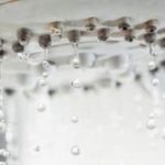 Water droplets on a clear surface, showcasing signs of frozen pipes for Force Plumbing and Heating LLC.